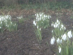 Spring is on the way