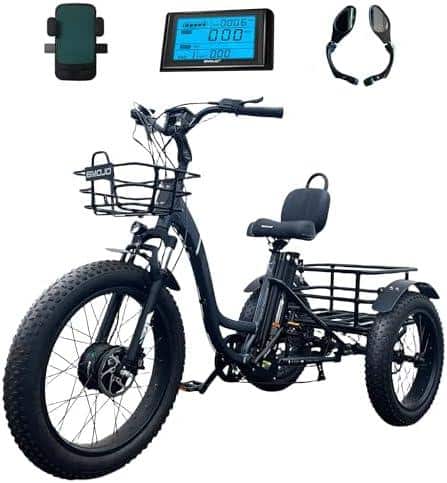How to Choose the Best Electric Fat Tire Tricycle